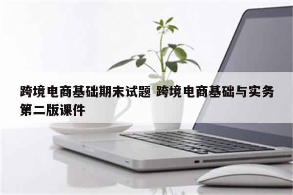 跨境电商基础期末试题 跨境电商基础与实务第二版课件