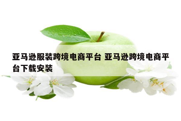 亚马逊服装跨境电商平台 亚马逊跨境电商平台下载安装