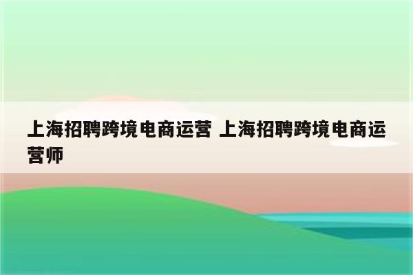 上海招聘跨境电商运营 上海招聘跨境电商运营师