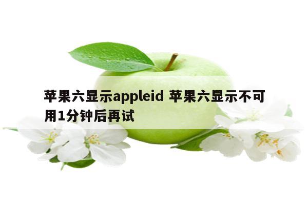 苹果六显示appleid 苹果六显示不可用1分钟后再试
