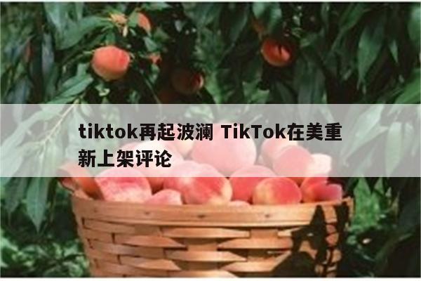 tiktok再起波澜 TikTok在美重新上架评论
