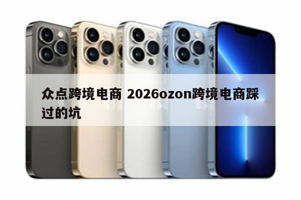 众点跨境电商 2026ozon跨境电商踩过的坑