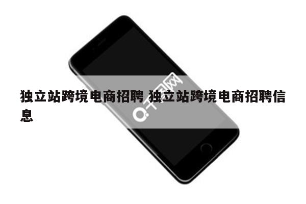 独立站跨境电商招聘 独立站跨境电商招聘信息