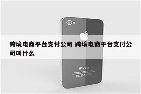 跨境电商平台支付公司 跨境电商平台支付公司叫什么