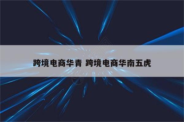 跨境电商华青 跨境电商华南五虎