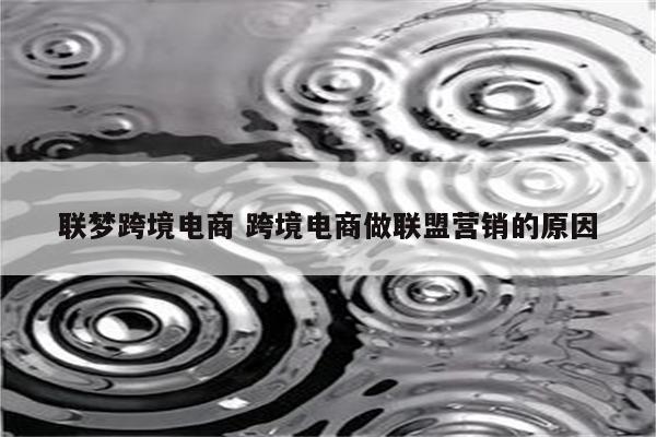 联梦跨境电商 跨境电商做联盟营销的原因