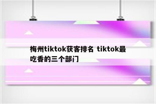梅州tiktok获客排名 tiktok最吃香的三个部门