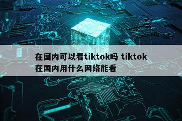在国内可以看tiktok吗 tiktok在国内用什么网络能看