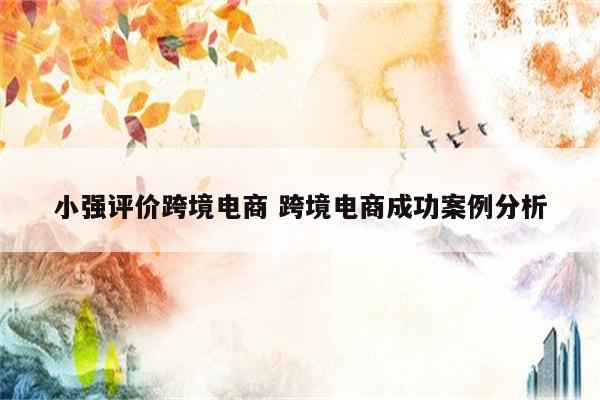 小强评价跨境电商 跨境电商成功案例分析