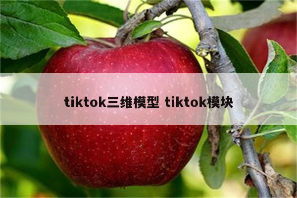 tiktok三维模型 tiktok模块