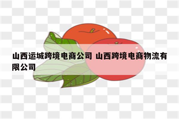 山西运城跨境电商公司 山西跨境电商物流有限公司