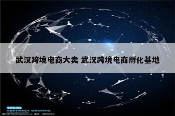 武汉跨境电商大卖 武汉跨境电商孵化基地