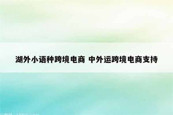 湖外小语种跨境电商 中外运跨境电商支持