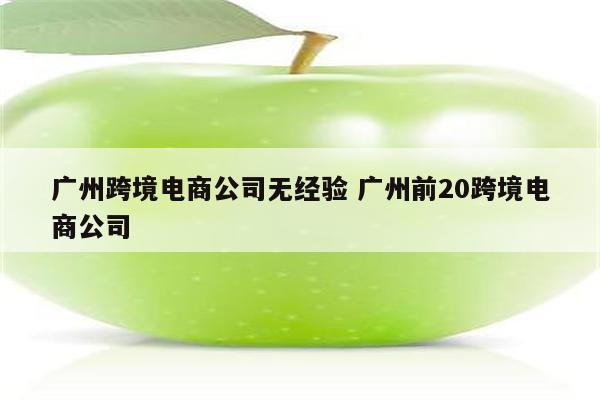 广州跨境电商公司无经验 广州前20跨境电商公司