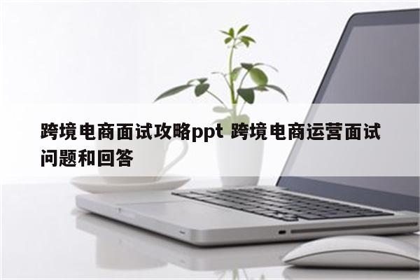 跨境电商面试攻略ppt 跨境电商运营面试问题和回答