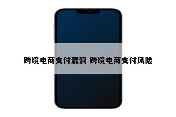 跨境电商支付漏洞 跨境电商支付风险