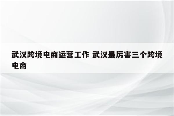 武汉跨境电商运营工作 武汉最厉害三个跨境电商