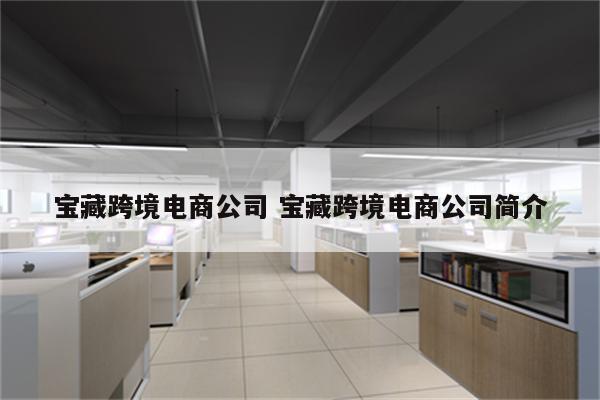 宝藏跨境电商公司 宝藏跨境电商公司简介