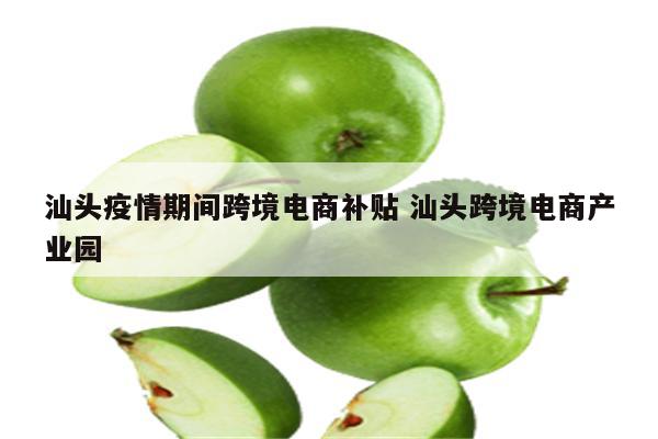 汕头疫情期间跨境电商补贴 汕头跨境电商产业园