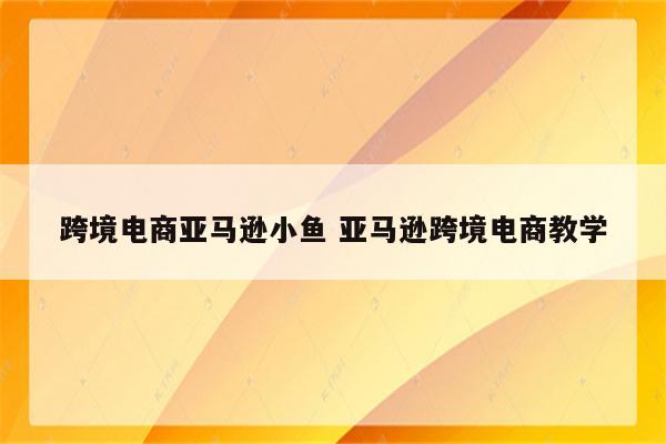 跨境电商亚马逊小鱼 亚马逊跨境电商教学
