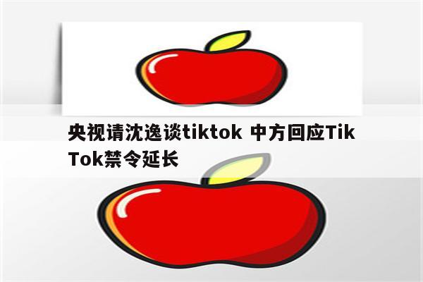 央视请沈逸谈tiktok 中方回应TikTok禁令延长