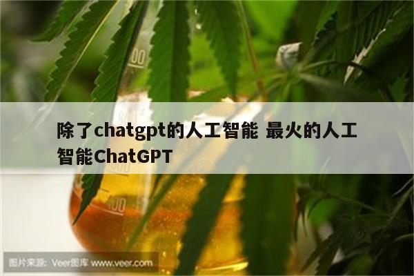 除了chatgpt的人工智能 最火的人工智能ChatGPT