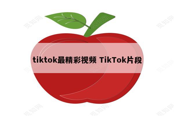 tiktok最精彩视频 TikTok片段