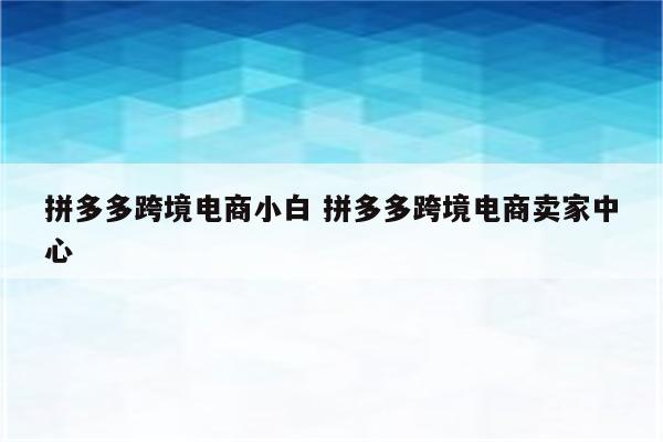 拼多多跨境电商小白 拼多多跨境电商卖家中心