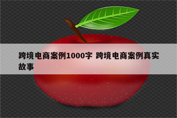 跨境电商案例1000字 跨境电商案例真实故事