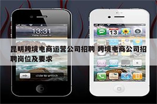 昆明跨境电商运营公司招聘 跨境电商公司招聘岗位及要求