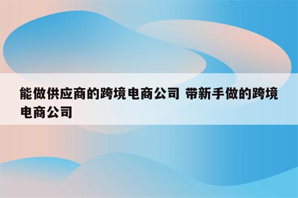 能做供应商的跨境电商公司 带新手做的跨境电商公司
