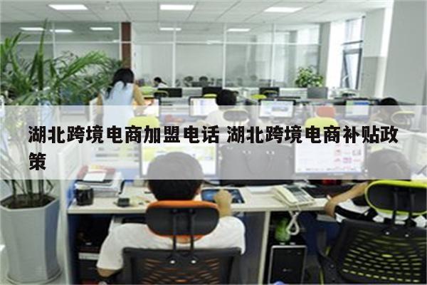 湖北跨境电商加盟电话 湖北跨境电商补贴政策