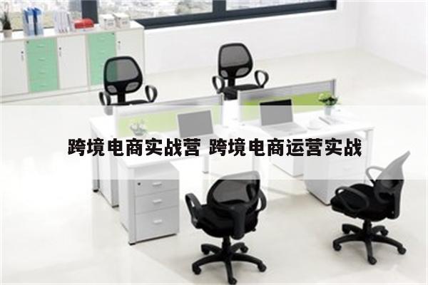 跨境电商实战营 跨境电商运营实战
