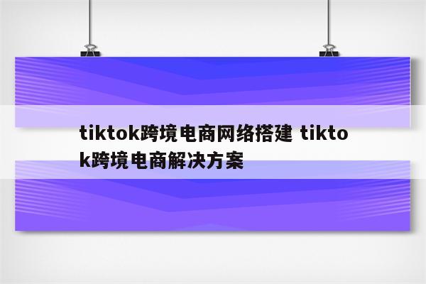 tiktok跨境电商网络搭建 tiktok跨境电商解决方案
