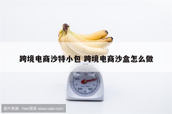跨境电商沙特小包 跨境电商沙盒怎么做