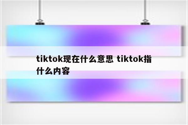 tiktok现在什么意思 tiktok指什么内容