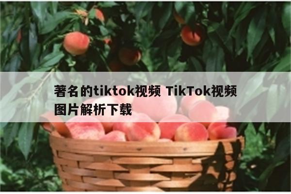 著名的tiktok视频 TikTok视频图片解析下载