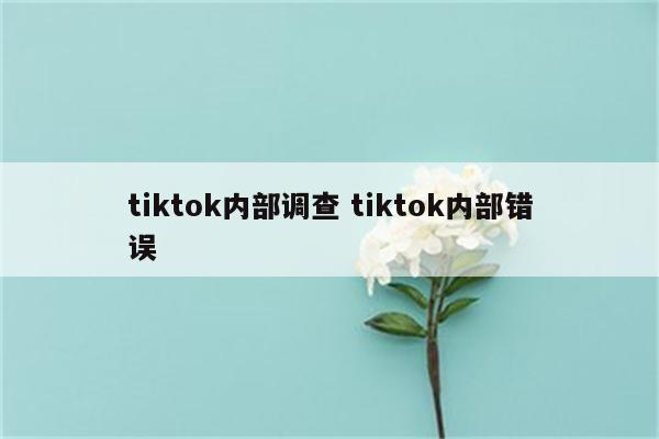 tiktok内部调查 tiktok内部错误