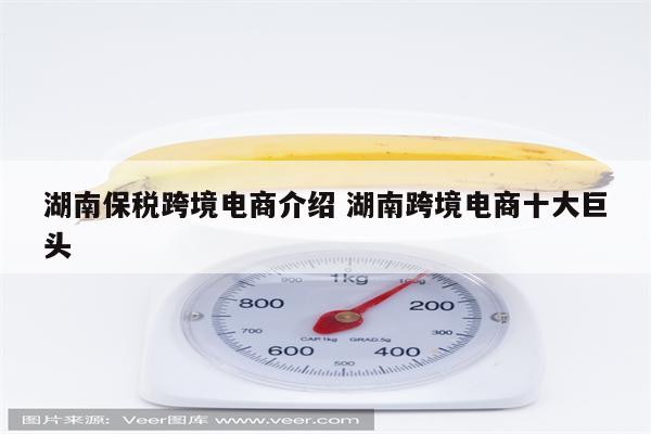 湖南保税跨境电商介绍 湖南跨境电商十大巨头